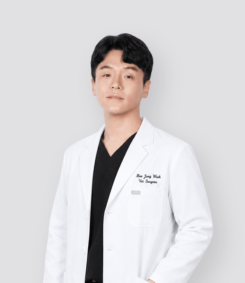 24시데이원동물의료센터 배종욱 외과과장