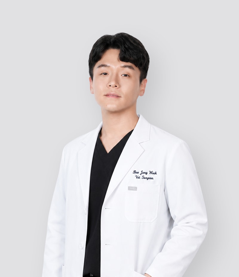 24시데이원동물의료센터 배종욱 외과과장