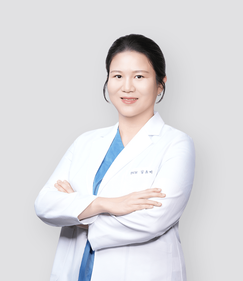 24시데이원동물의료센터 김소미 부원장