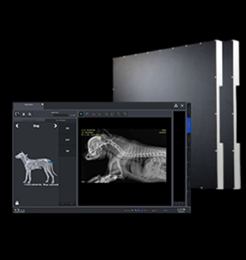 24시데이원동물의료센터 X-ray Vieworks