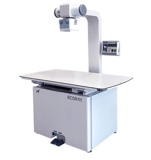 24시데이원동물의료센터 X-ray EcoRay