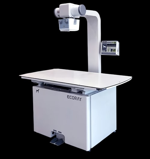 24시데이원동물의료센터 X-ray EcoRay