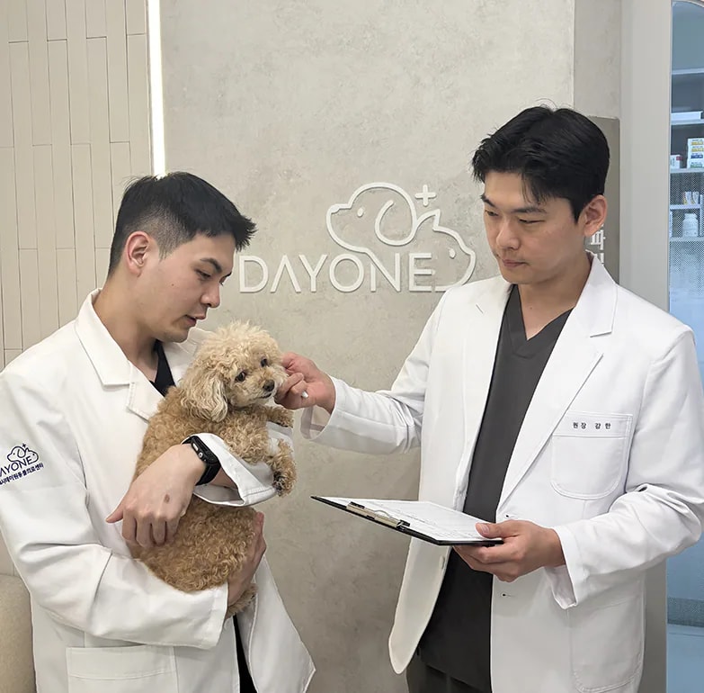 24시데이원동물의료센터 회복 모니터링