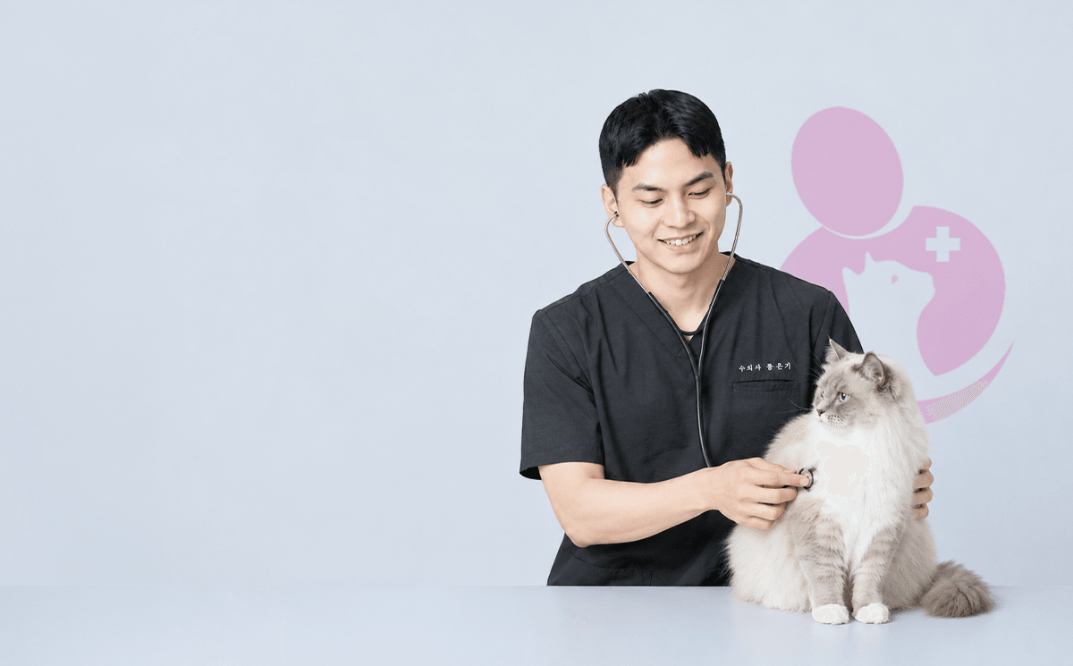 24시데이원동물의료센터 고양이 건강검진