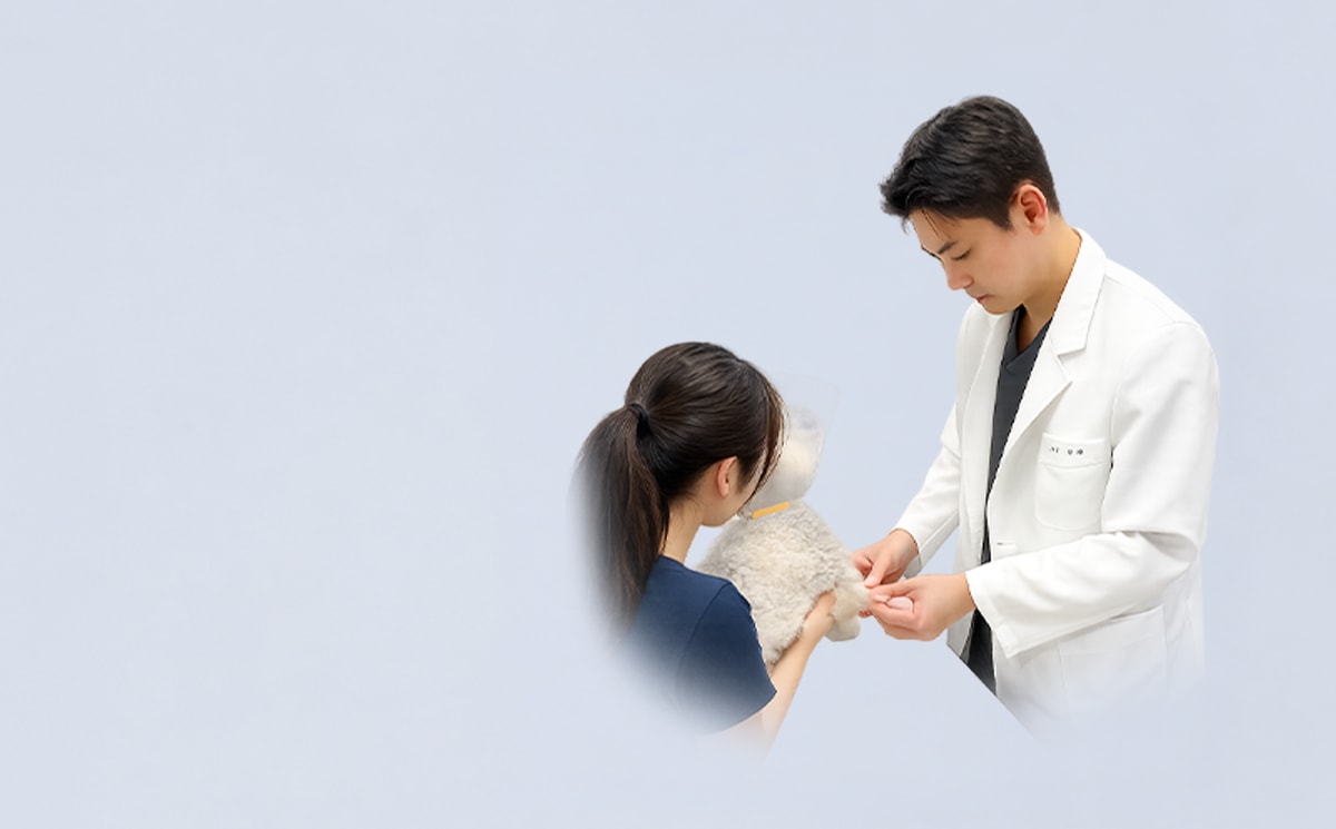 24시데이원동물의료센터 강아지 건강검진