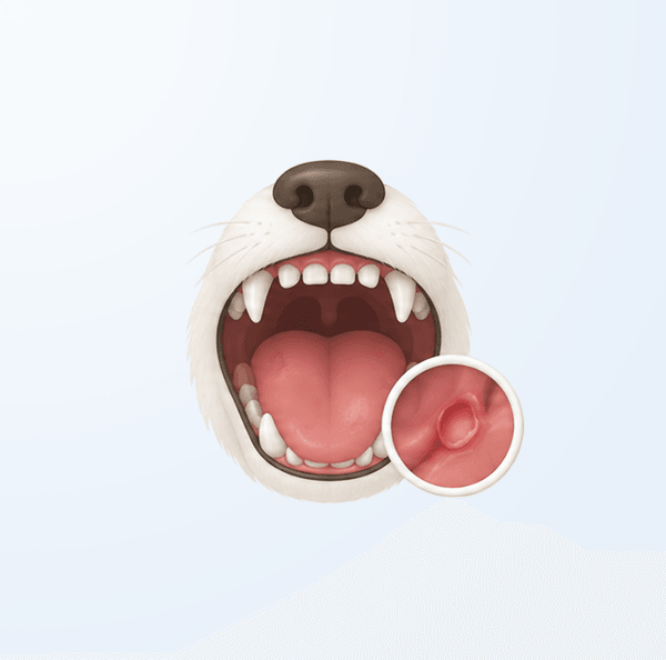 구내염