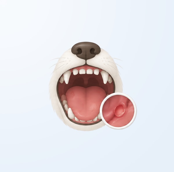 구내염