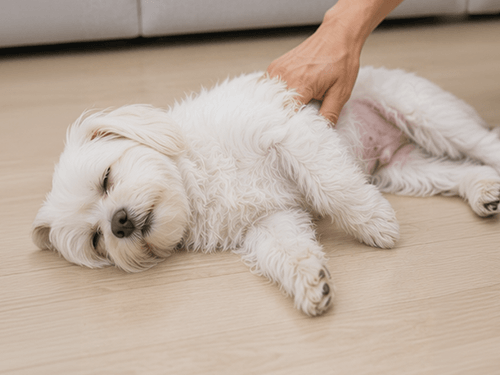 갑자기 쓰러지거나 몸이 부어요