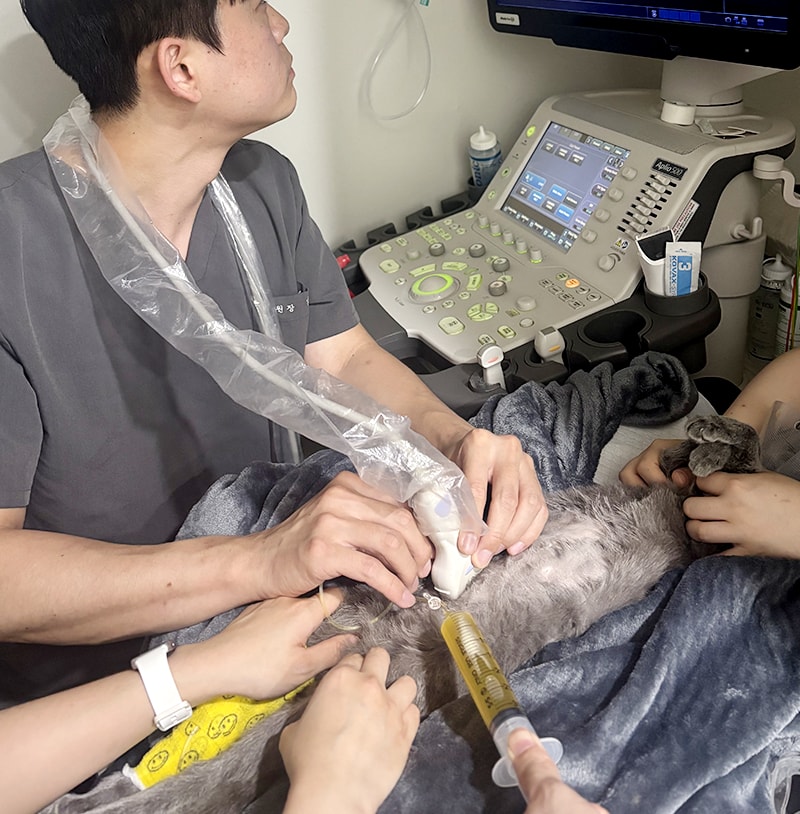 만성 피부질환 관리