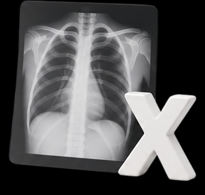 24시데이원동물의료센터 영상검사 (X-ray)