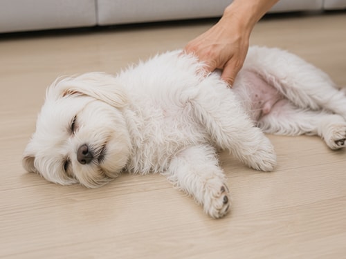 갑자기 쓰러지거나 몸이 부어요